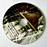 Sample Disc 13